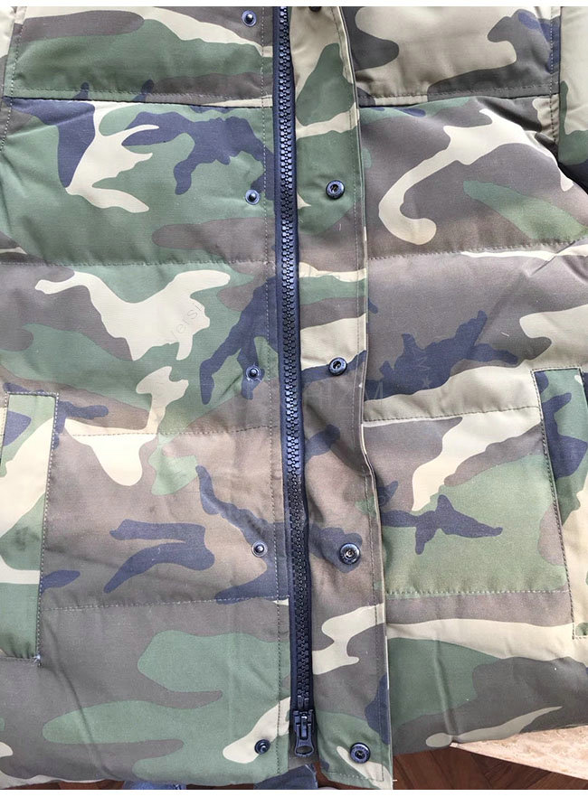 canada goose1-1108-5.jpg